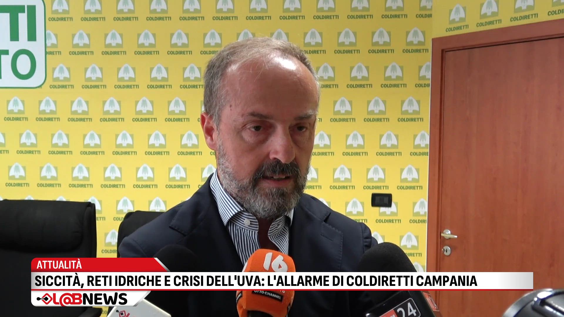 Siccita', reti idriche e crisi dell'uva, l'allarme di Coldiretti Campania