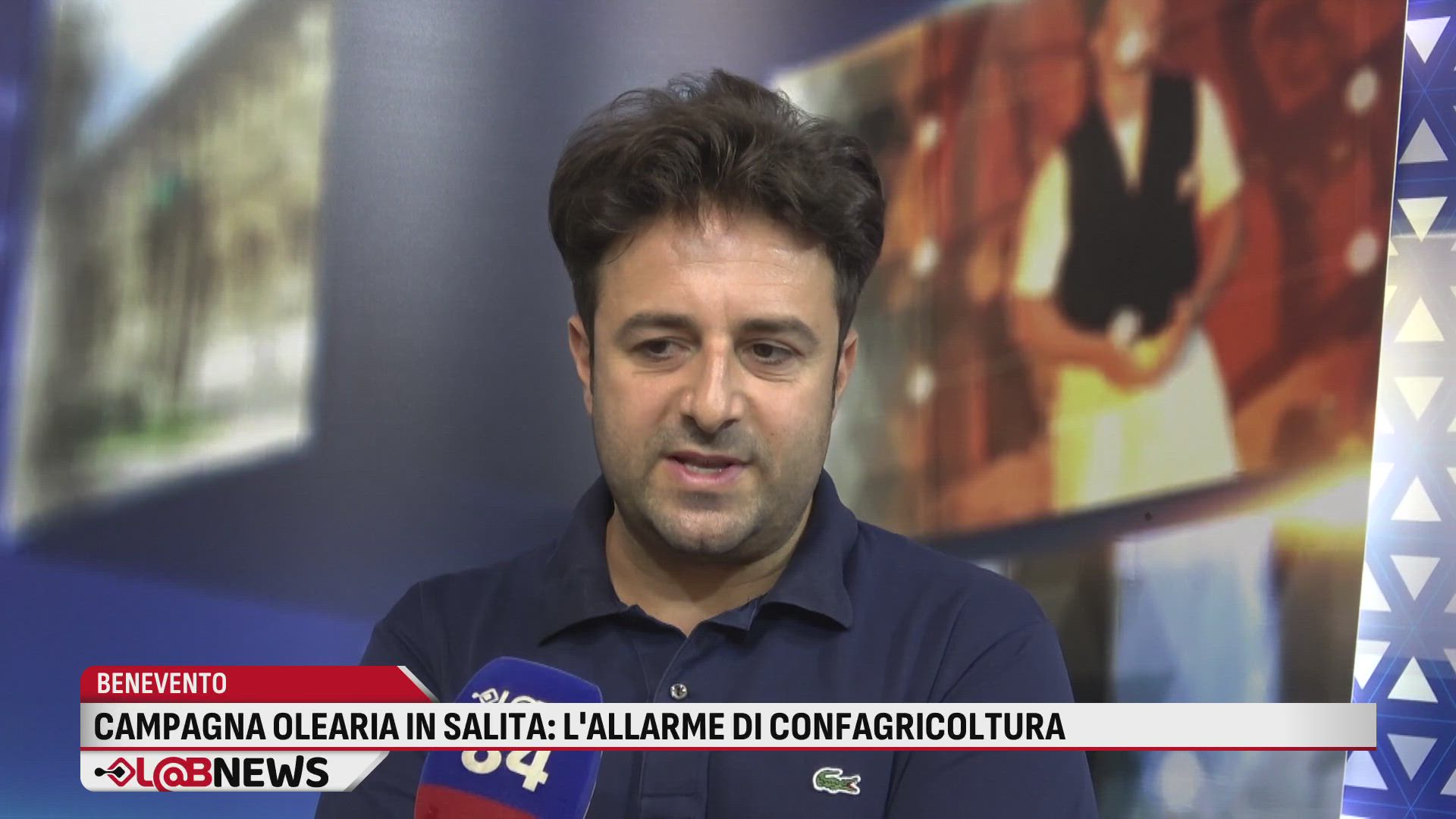 Campagna olearia in salita, l'allarme di Confagricoltura