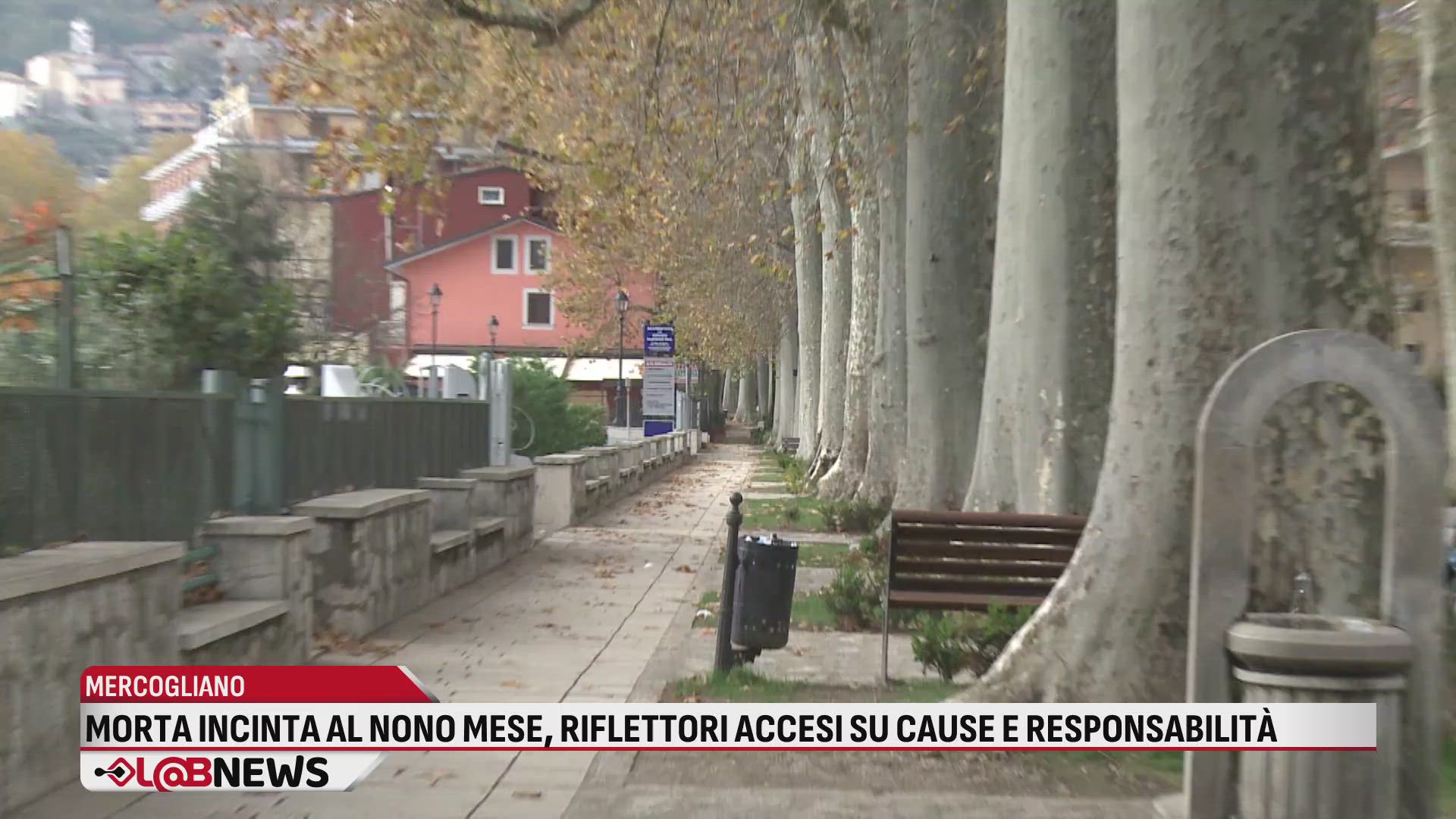 Morta incinta al nono mese, riflettori accesi su cause e responsabilità