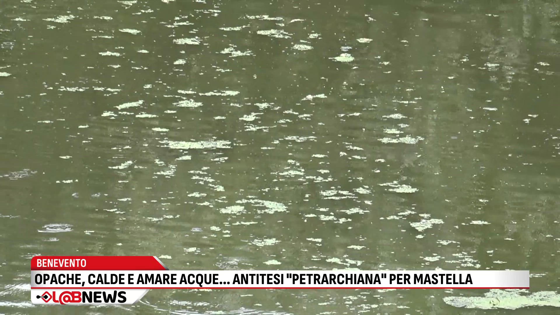 Opache, calde e amare acque…antitesi “petrarchiana” per Mastella