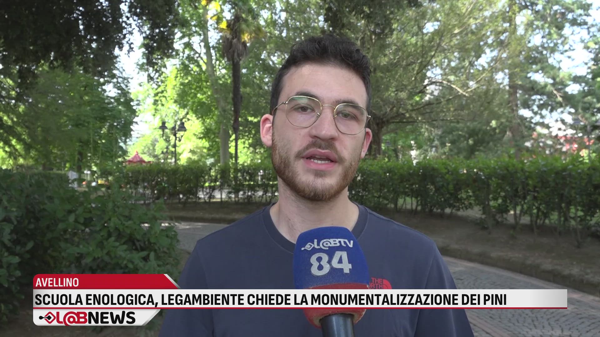 Scuola enologica, Legambiente chiede la monumentalizzazione dei pini