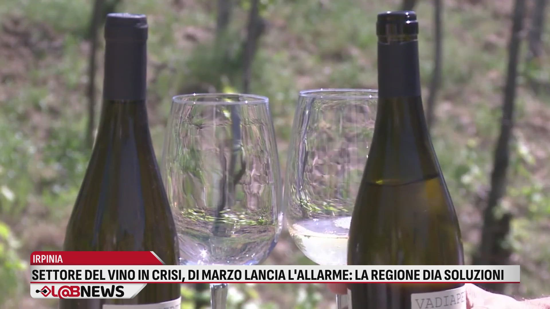Settore del vino in crisi, Di Marzo lancia l'allarme: la Regione dia soluzioni