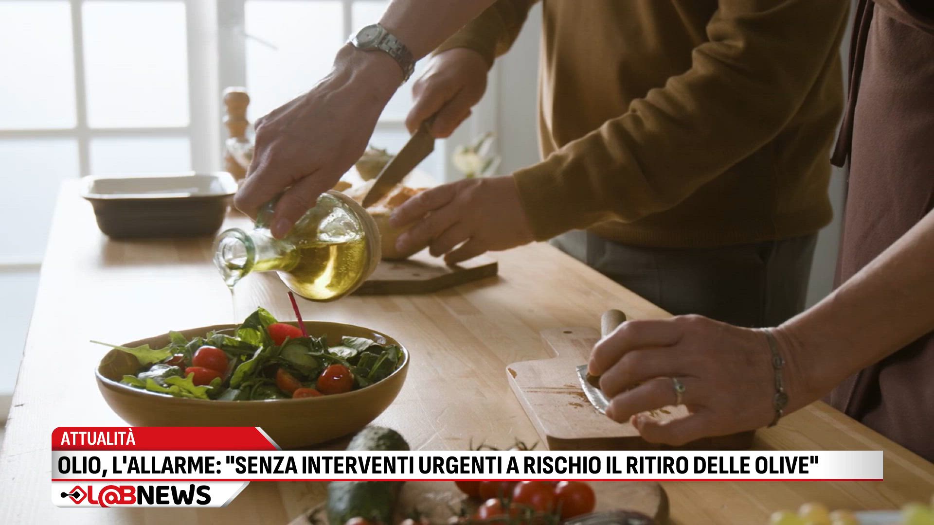 Olio l'allarme: senza interventi urgenti a rischio la raccolta delle olive