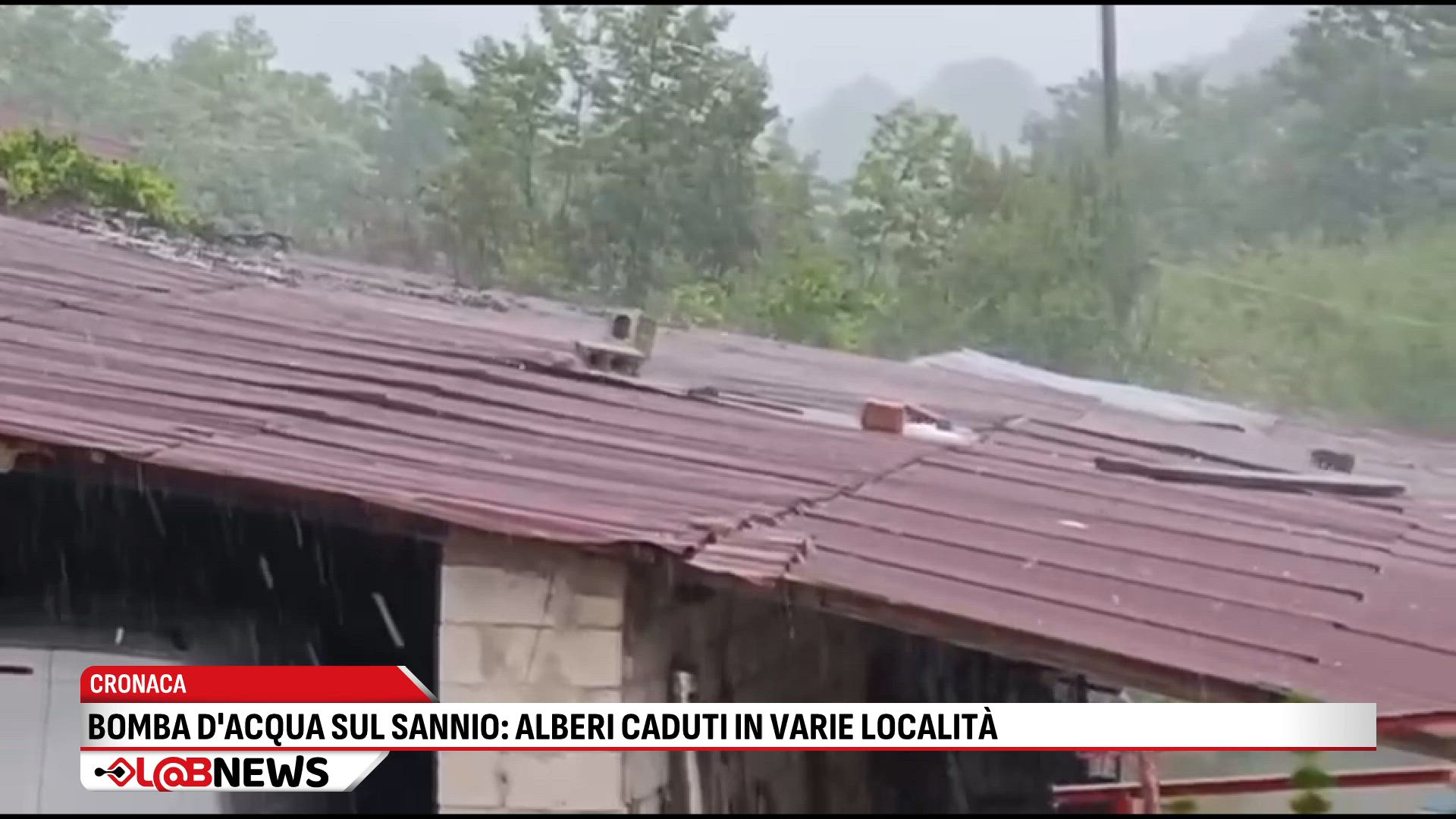 Bomba d'acqua sul Sannio, alberi caduti in varie località