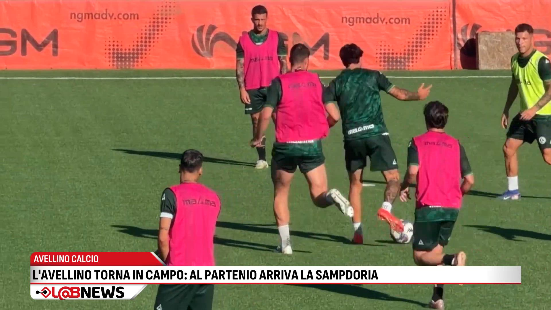 L'Avellino torna in campo: al Partenio arriva la Sampdoria
