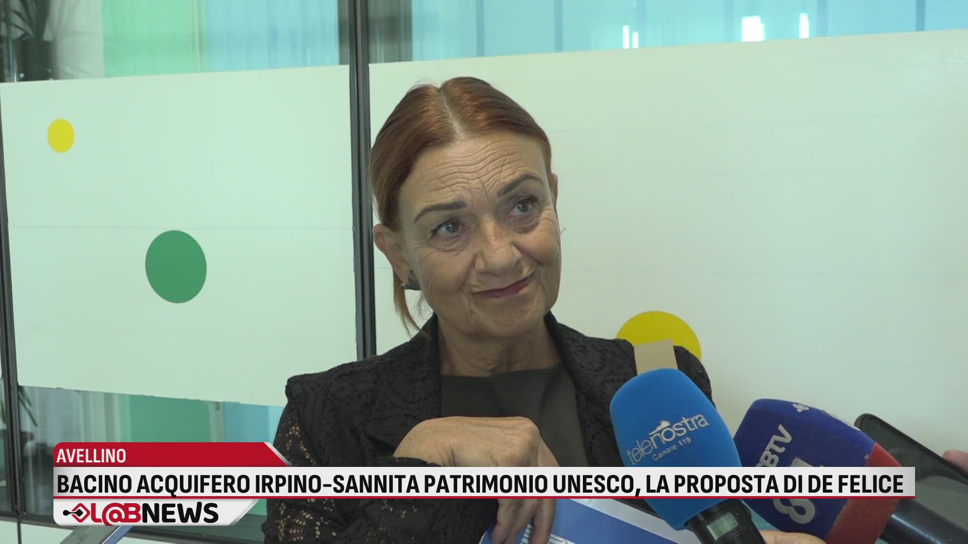 Bacino acquifero Irpino-Sannita patrimonio Unesco la proposta di De Felice