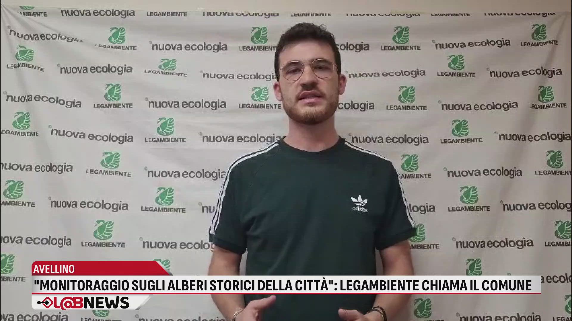 "Monitoraggio sugli alberi storici della città": Legambiente chiama il comune