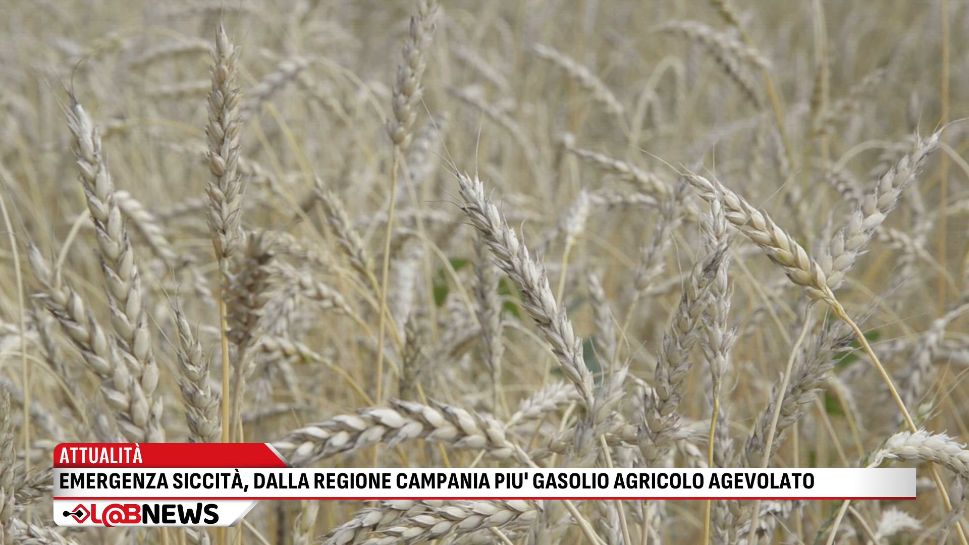 Emergenza siccità, dalla Regione più gasolio agricolo agevolato